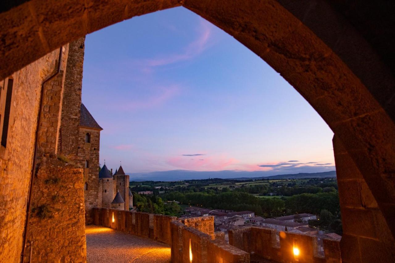 Tout Confort ! Calme, Climatisation, Piscine, Parking Gratuit, Grande Terrasse, Netflix, Wifi Carcassonne Eksteriør billede