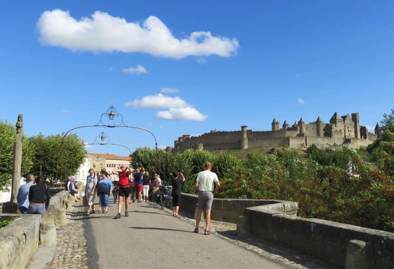 Tout Confort ! Calme, Climatisation, Piscine, Parking Gratuit, Grande Terrasse, Netflix, Wifi Carcassonne Eksteriør billede