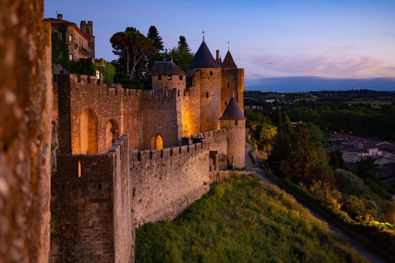 Tout Confort ! Calme, Climatisation, Piscine, Parking Gratuit, Grande Terrasse, Netflix, Wifi Carcassonne Eksteriør billede