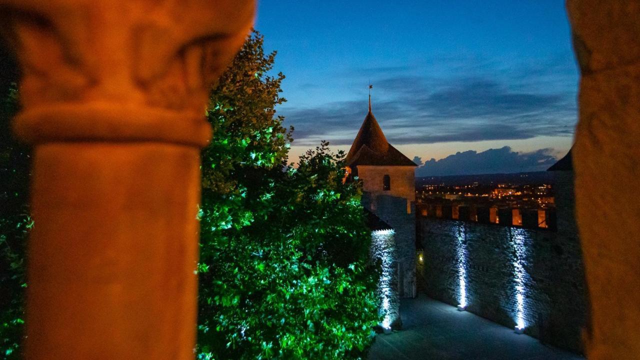 Tout Confort ! Calme, Climatisation, Piscine, Parking Gratuit, Grande Terrasse, Netflix, Wifi Carcassonne Eksteriør billede