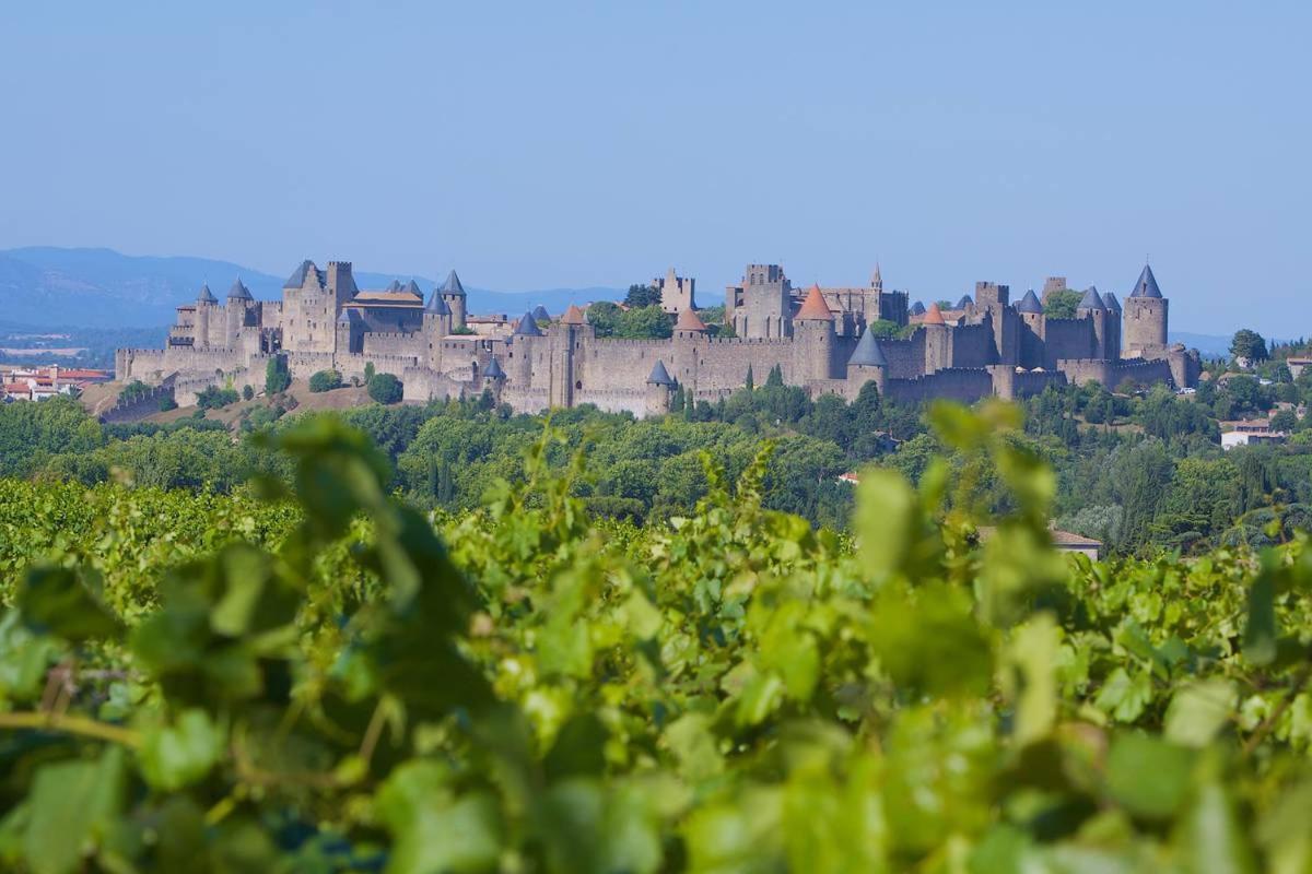 Tout Confort ! Calme, Climatisation, Piscine, Parking Gratuit, Grande Terrasse, Netflix, Wifi Lejlighed Carcassonne Eksteriør billede