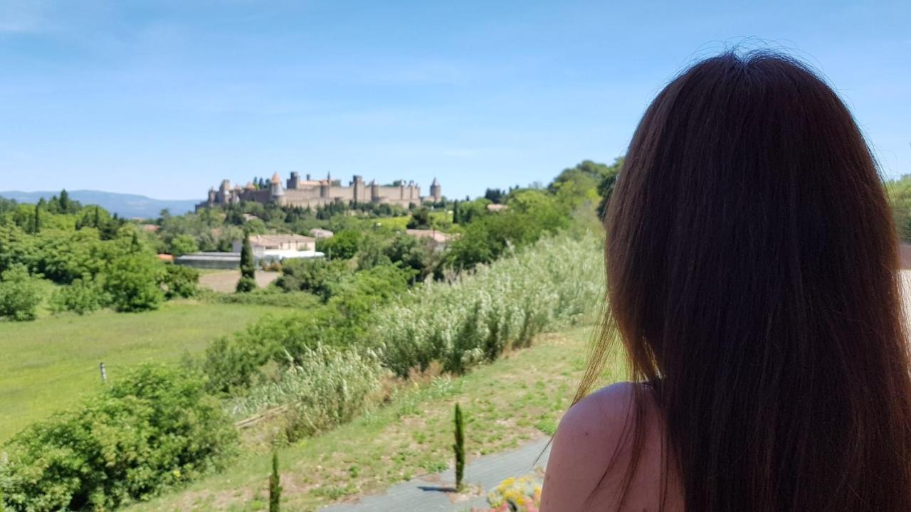 Tout Confort ! Calme, Climatisation, Piscine, Parking Gratuit, Grande Terrasse, Netflix, Wifi Carcassonne Eksteriør billede
