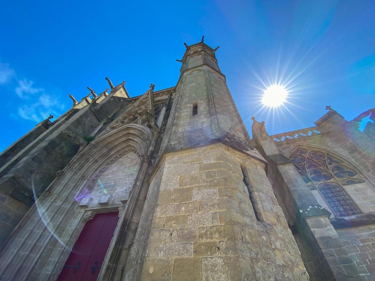 Tout Confort ! Calme, Climatisation, Piscine, Parking Gratuit, Grande Terrasse, Netflix, Wifi Carcassonne Eksteriør billede
