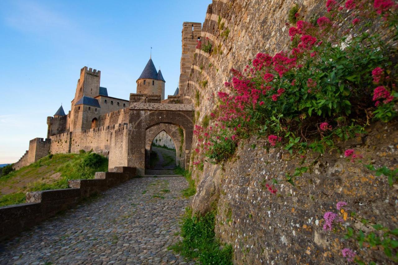 Tout Confort ! Calme, Climatisation, Piscine, Parking Gratuit, Grande Terrasse, Netflix, Wifi Carcassonne Eksteriør billede